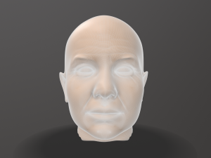 male head sculpt 3D 模型