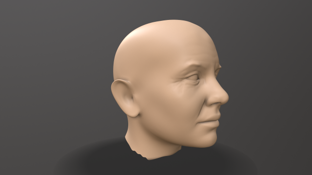 Male head sculpt human anatomy fantasy futuristic | 3D model