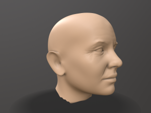 male head sculpt 3D 模型