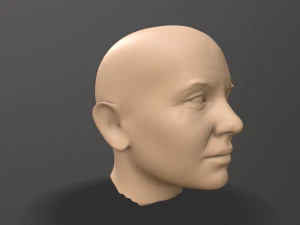 male head sculpt 3D Model