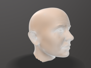 male head sculpt 3D 模型
