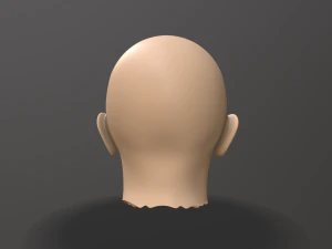 male head sculpt 3D Model