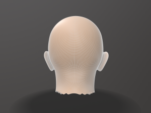 male head sculpt 3D 模型
