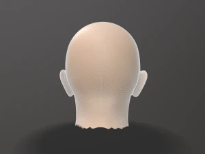 male head sculpt 3D Model