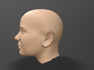male head sculpt 3D 模型