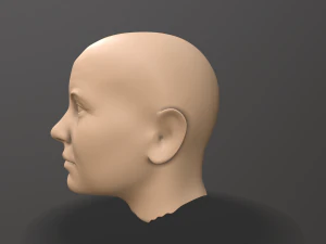 male head sculpt 3D Model