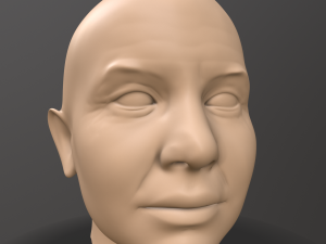 male head sculpt 3D 模型