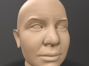 male head sculpt 3D Model