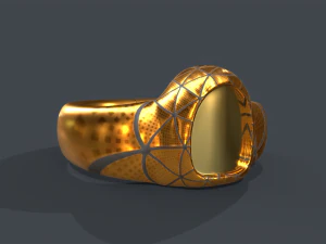 ring 01 3D Model