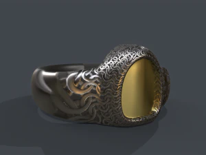 ring 01 3D Model