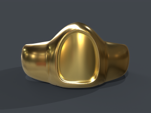 ring 01 Model 3D