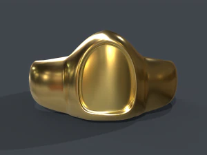 ring 01 3D Model