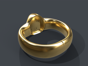 ring 01 Model 3D
