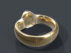 ring 01 Model 3D