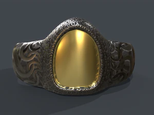 ring 01 3D Model