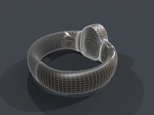 ring 01 3D Model