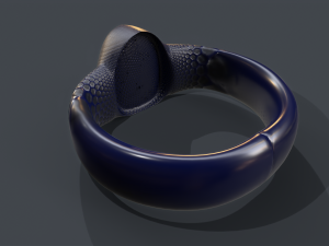 ring 01 Model 3D