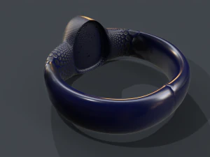 ring 01 3D Model