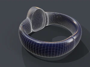 ring 01 3D Model