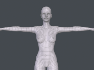 female basemesh Model 3D
