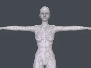 female basemesh 3D Model