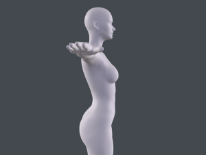 female basemesh Model 3D