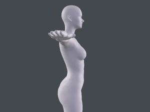 female basemesh 3D Model