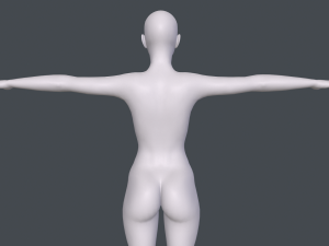 female basemesh Model 3D