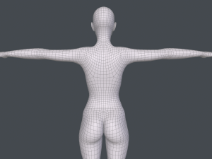 female basemesh Model 3D