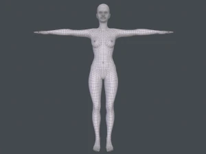 female basemesh 3D Model