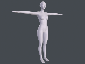 female basemesh Model 3D