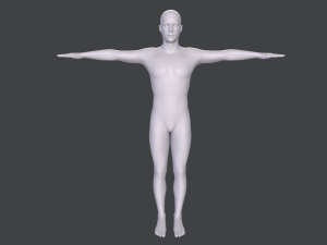 male base mesh 3D 模型