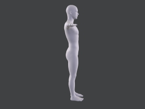 male base mesh Model 3D