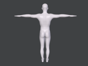 male base mesh Model 3D