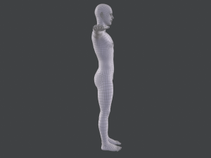 male base mesh Model 3D