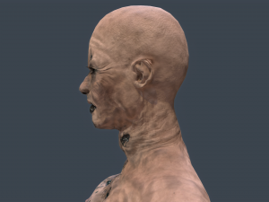 female zombie 02 Modèle 3D