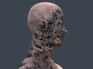 female zombie 02 Modèle 3D