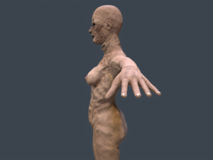 female zombie 02 Modèle 3D