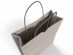 Paper Bag 3D Model