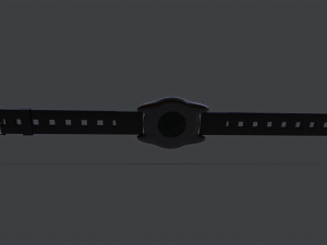 Smart Watch Beta 3D Model