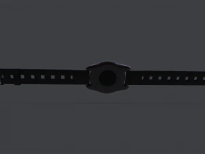 Smart Watch Beta 3D Model