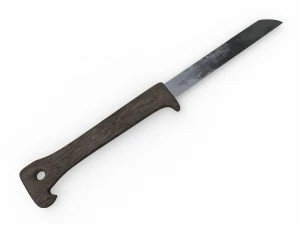 Fruit Knife 3D Model