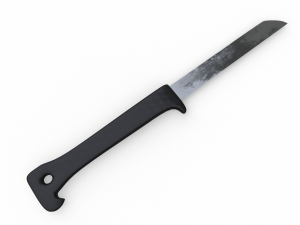 Fruit Knife 3D Model