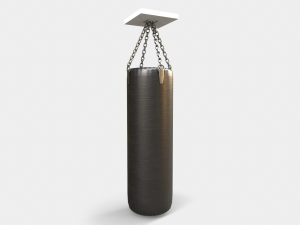 Boxing Bag Modello 3D