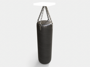 Boxing Bag Modello 3D