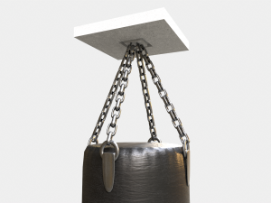 Boxing Bag Modello 3D