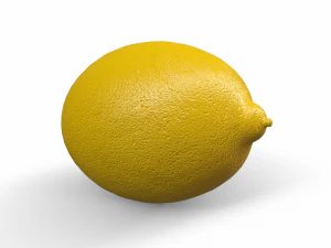 Lemon 3D Model