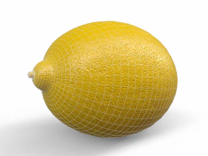 Lemon 3D Model