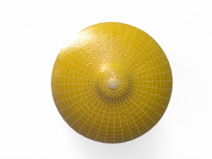 Lemon Modello 3D