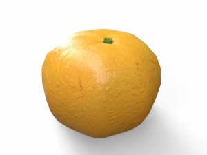 Orange 3D Model